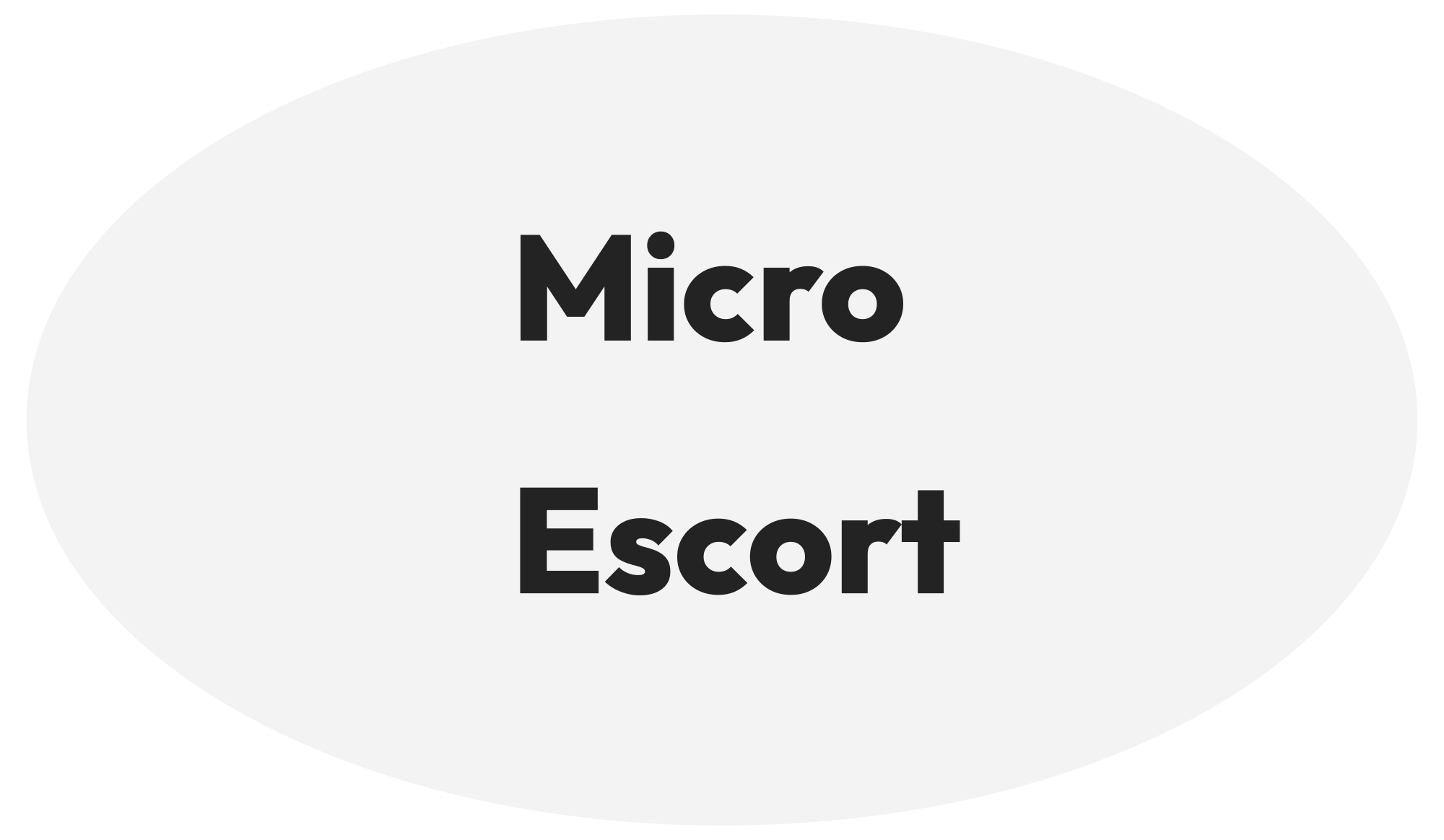 micro Escort